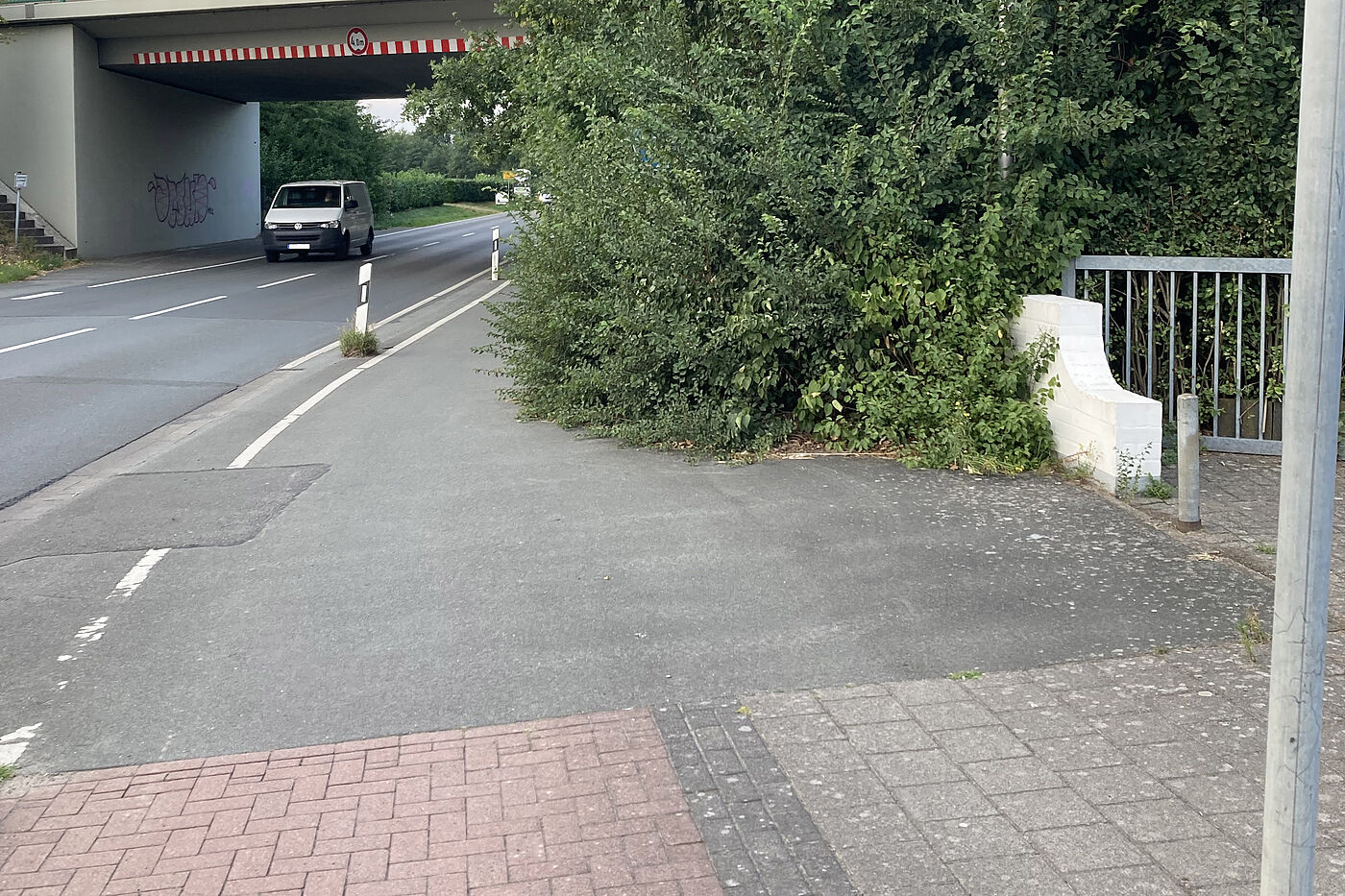 Zugewachsener Radweg