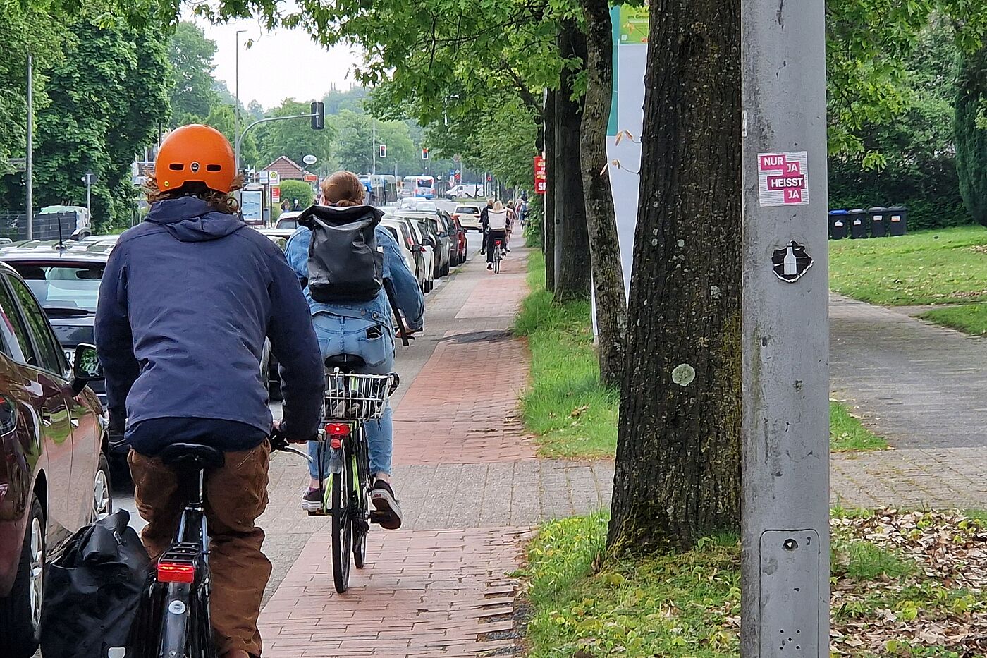 Radweg Von-Esmarch-Straße